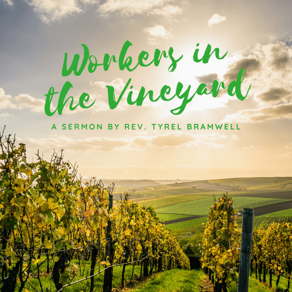 Workers in the Vineyard